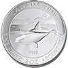 2 oz RCM Silver Orca .9999